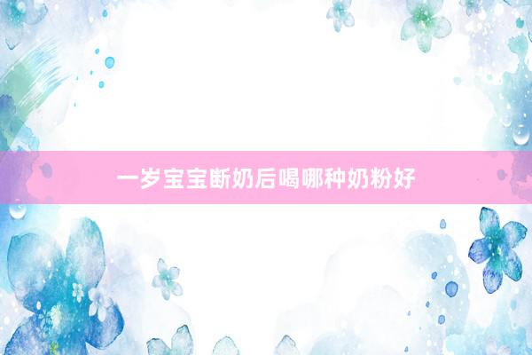 一岁宝宝断奶后喝哪种奶粉好